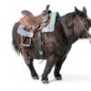 Weaver Equine Straight Smart Cinch Black 28-Inch Equestrian-3